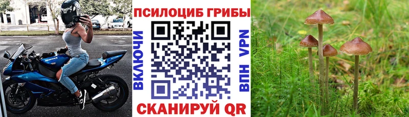 Галлюциногенные грибы ЛСД  Сим 