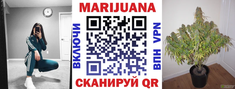 где купить   Сим  Конопля индика 